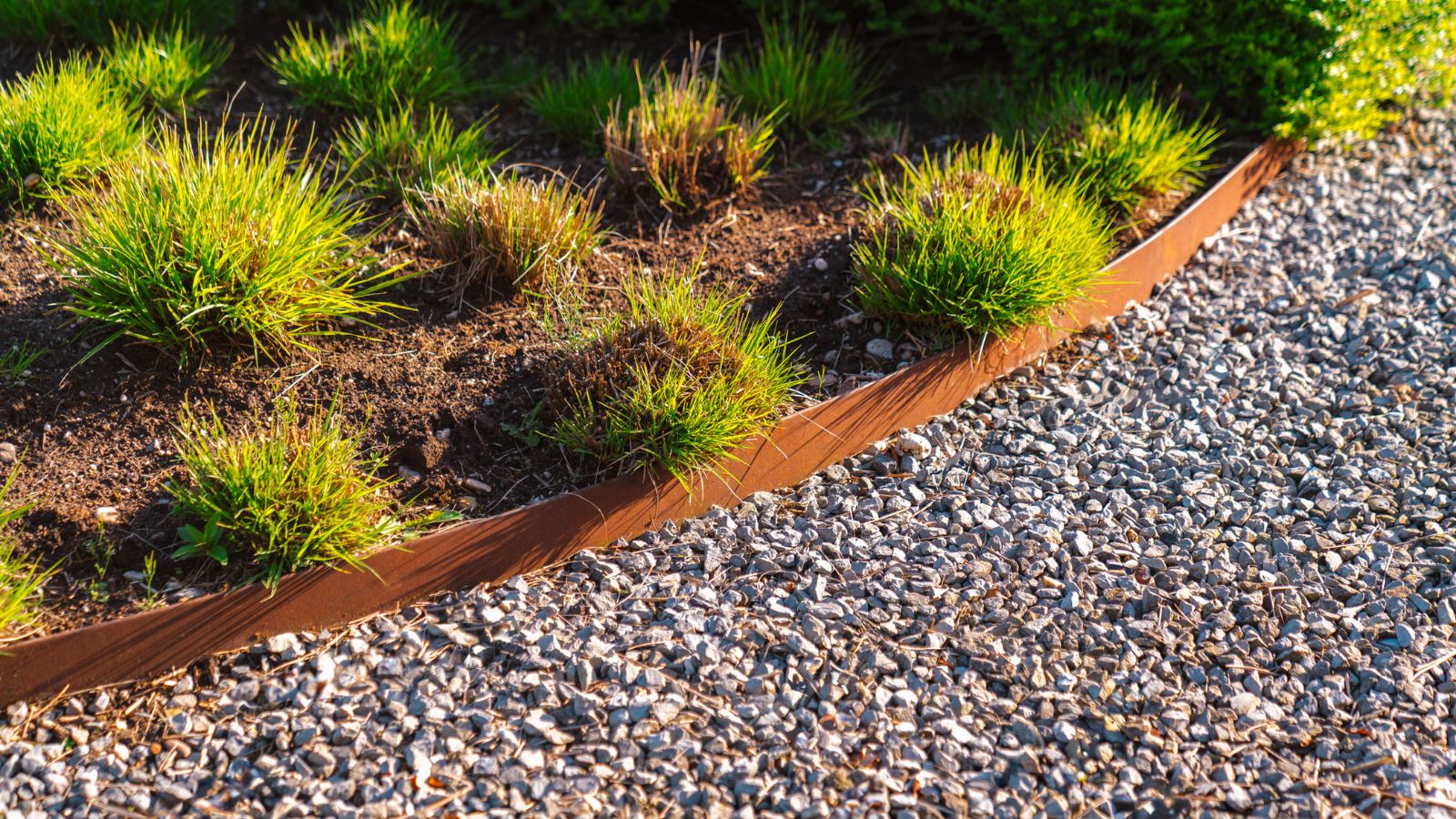 Cortenline - banner do email šablony (Příspěvek na Twitteru) (kopie 2)